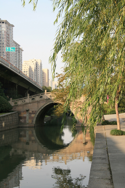 中河綠化景觀改造工程