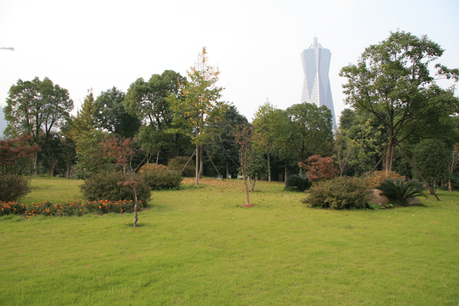 杭州環(huán)北公園綠化景觀改造工程